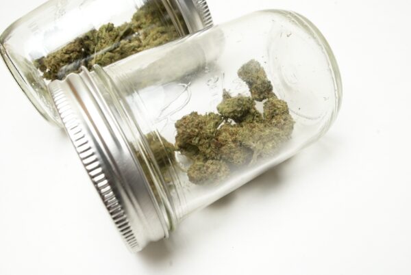 Flores de cannabis en un tarro