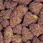 blueberry virágok