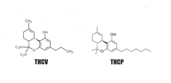 Molekuly THCV THCP
