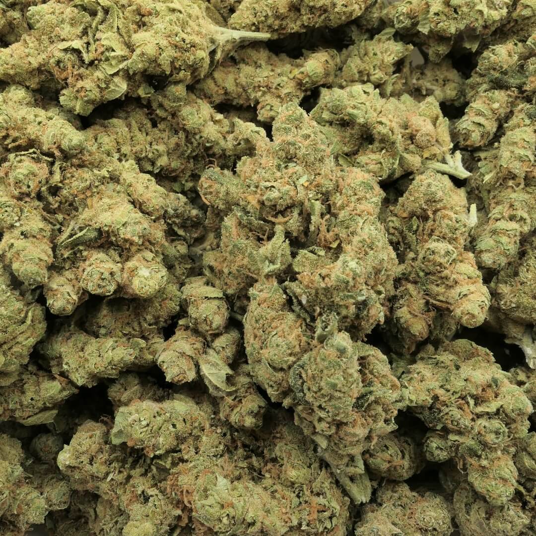 SUPER SILVER HAZE - Hydroponie CBD : < 25% - CBDOO.fr