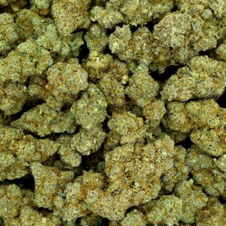 SUPER SILVER HAZE – HYDROPONISCH ANGEBAUTE SUPER SILVER HAZE 