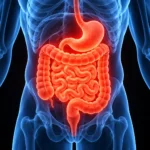 CBD and Crohn's disease