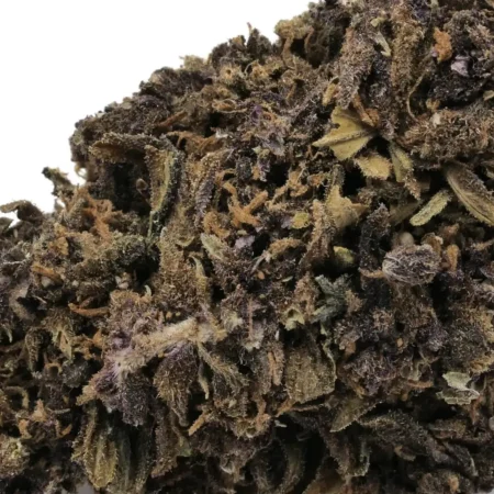 PURPLE RAIN - FLEUR -CBD