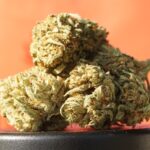 livello di cbn-o (Cannabinolo Acetato-O)