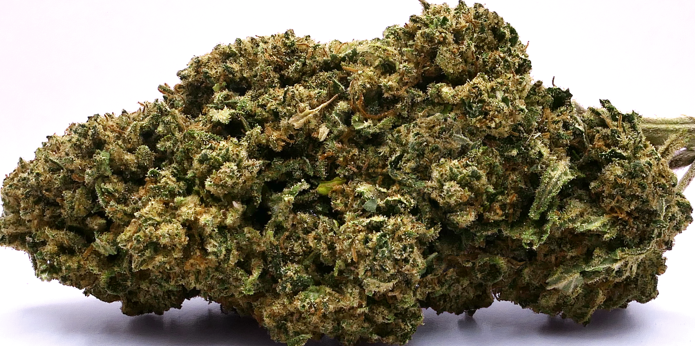 GOLDEN KUSH CBD-BLOEM