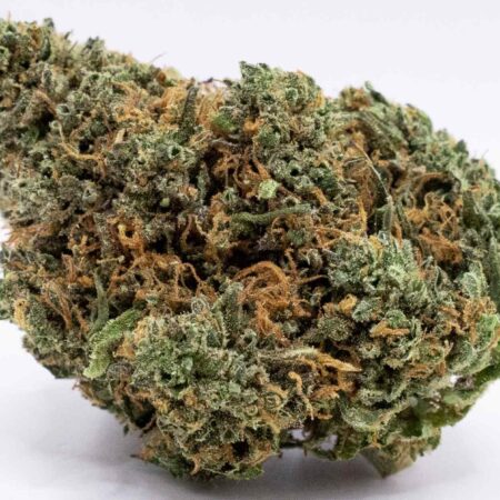 Gorilla king bud