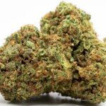 green bomb
