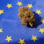 Legislação europeia sobre novos canabinóides (CBD)