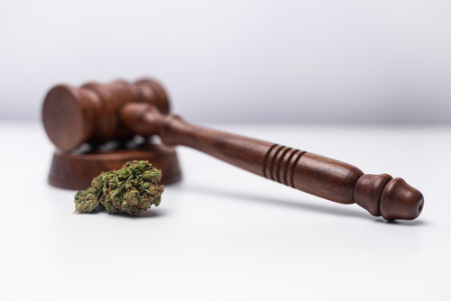Europäische Gesetzgebung und Neo-Cannabinoide
