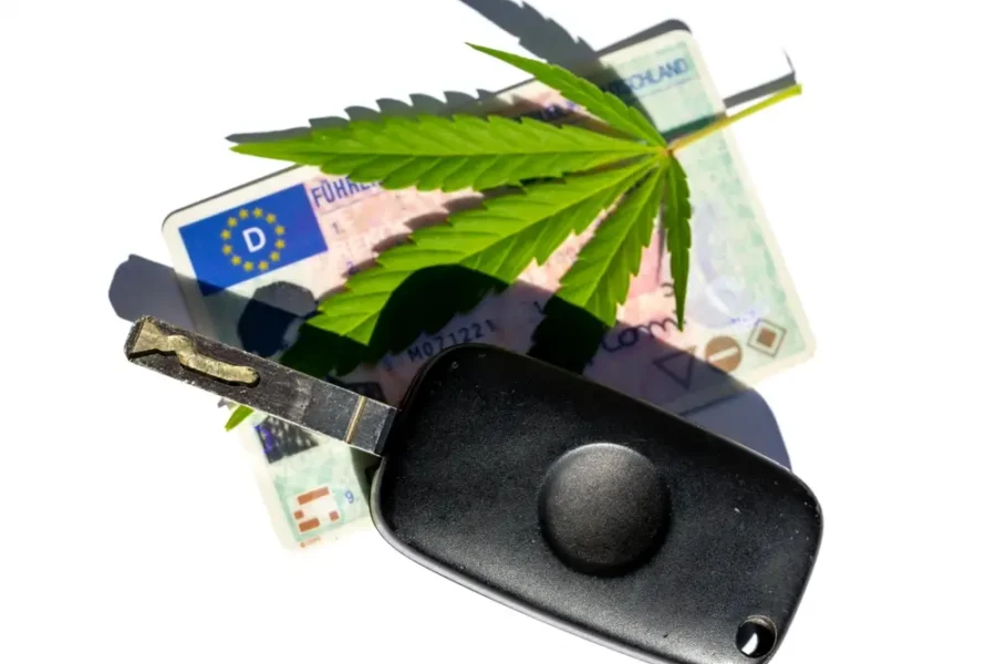 CBD y permiso de conducir