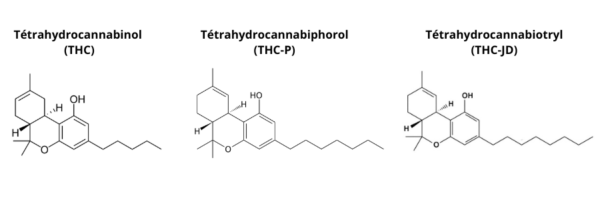 Tetrahydrokanabiotryl (THC-JD)