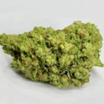 cryo bloem