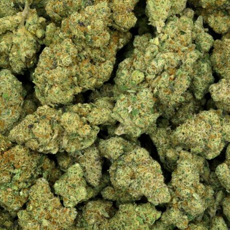 CALI FROZEN DE CBD HIDROPÓNICA