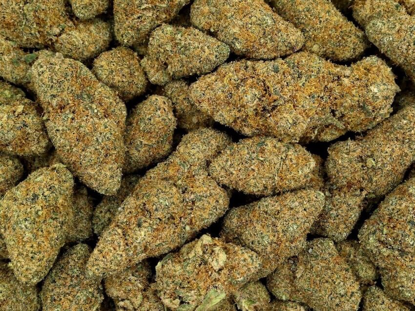 slurricane