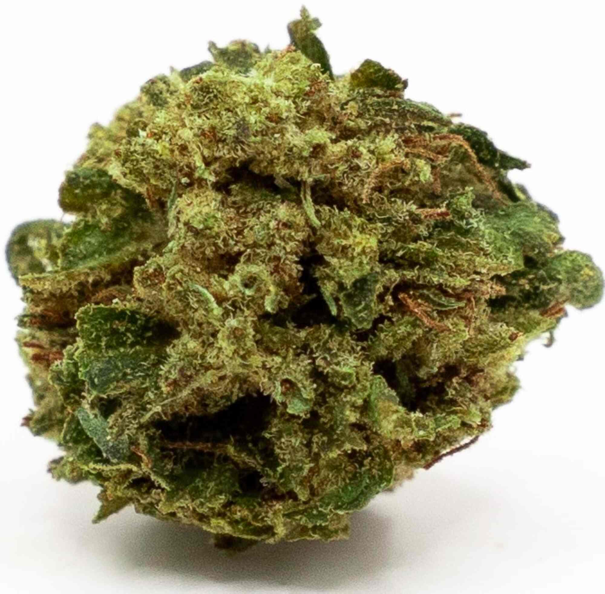 CBD Small bud shiva haze