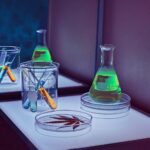 Une feuille de cannabis, des flacons et des éprouvettes fluorescentes sur une table