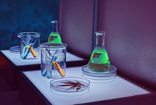 Uma folha de cannabis, frascos e tubos de ensaio fluorescentes sobre uma mesa