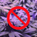 imagen de plantas derivadas del CBD con el logotipo prohibido