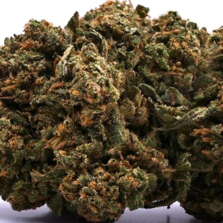 G13 HAZE CBD G13 HAZE