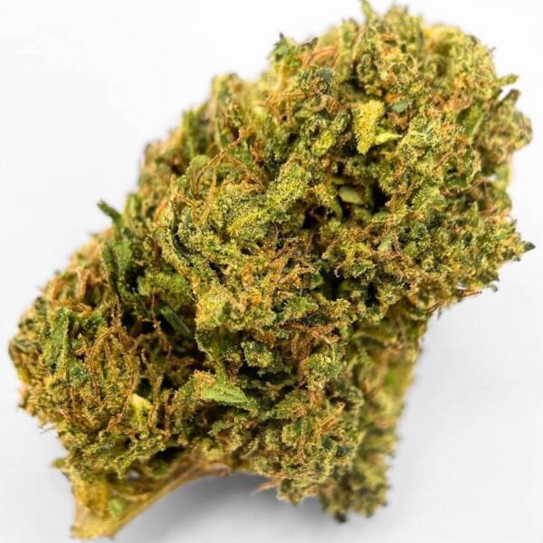 g13 bruma bcd
