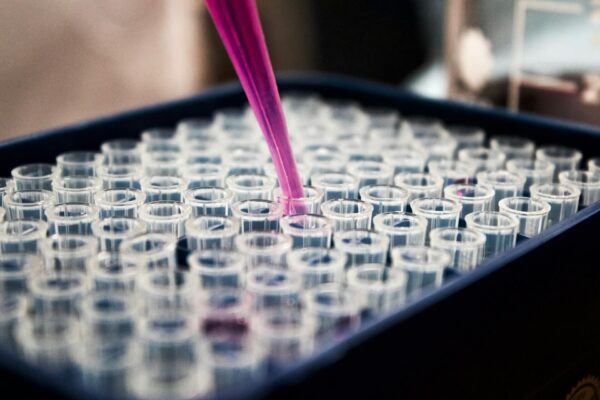 close-up of a pipette filling test tubes in the laboratory