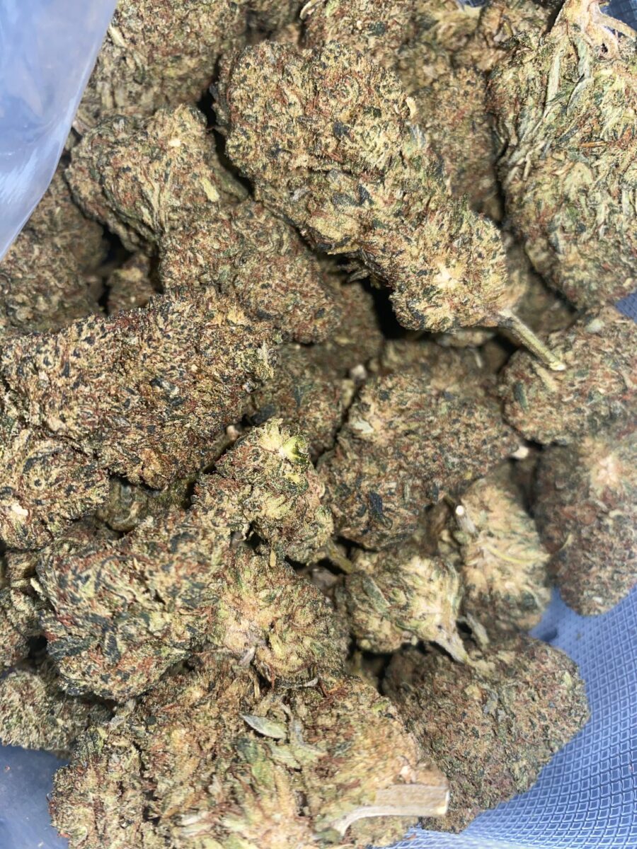 kosmos kush