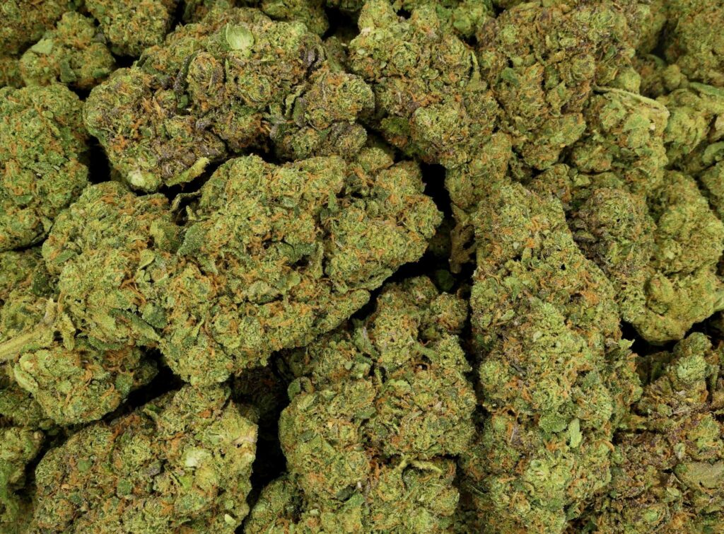 cookie kush frozen FLEUR DE CBD HYDROPONIQUE
