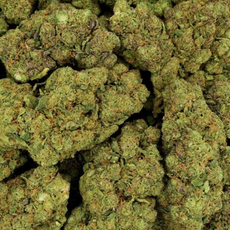 BIG DADDY FLEUR DE CBD HYDROPONIQUE