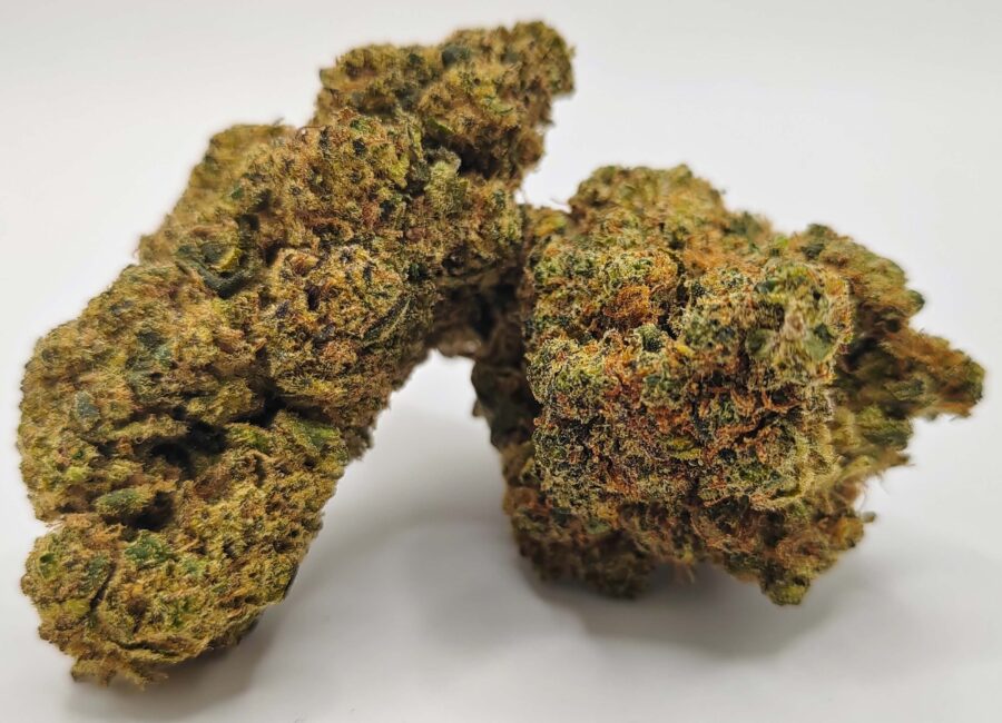 californian haze flowers cbdp