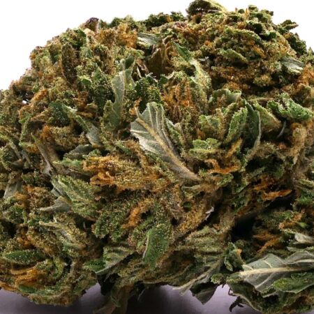 BIG BUDDHA CHEESE CBD VIRÁG