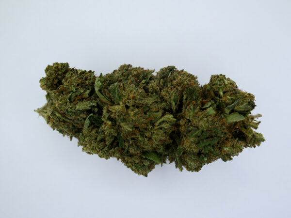 CBD-Blume Big Buddha Cheese auf weißem Hintergrund