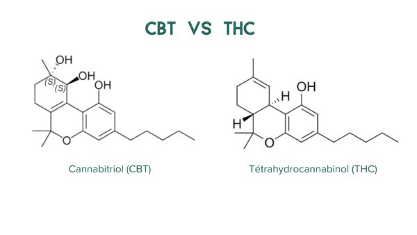 dva diagramy znázorňující molekuly CBT a THC