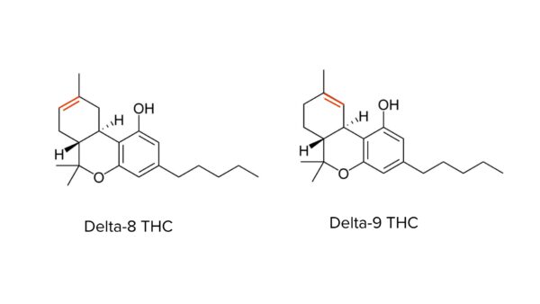 vergelijking van de moleculaire structuur van D8 thc en D9 thc