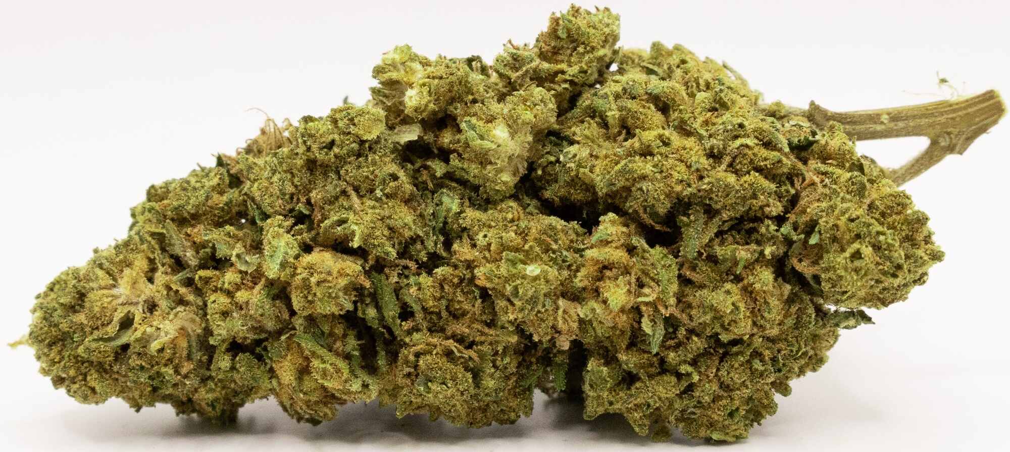 OG Kush CBD