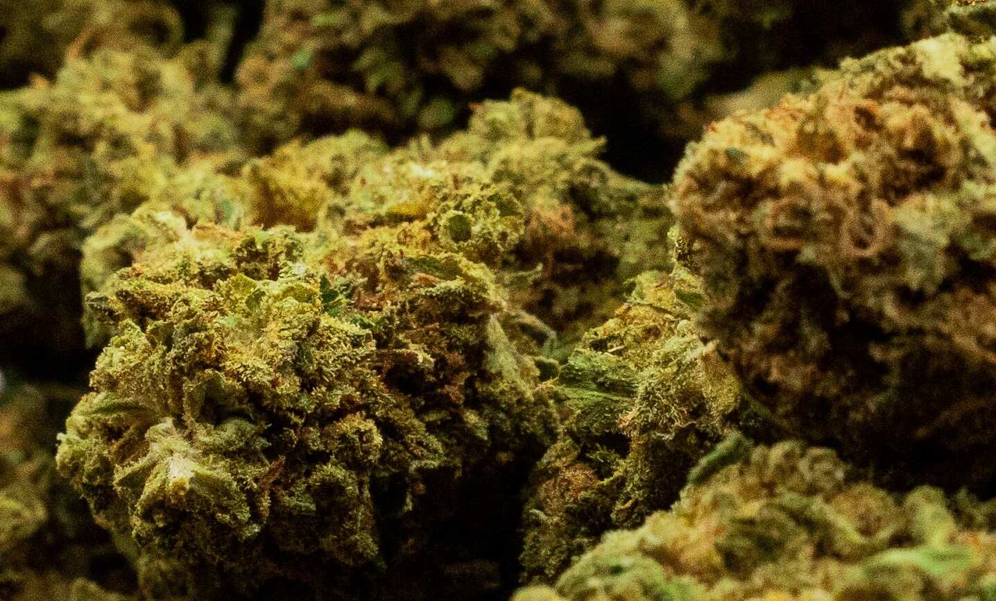 OG Kush