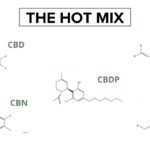 Liste des cannabinoide présent dans le THM et les molécules associées