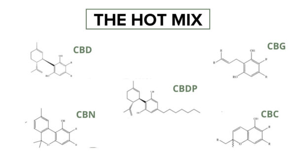 A THM-ben jelen lévő kannabinoidok és a kapcsolódó molekulák listája