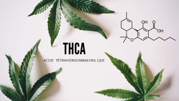 thca presentation image