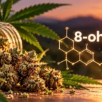 Lab-grown CBD flowers 8 OH HHC
