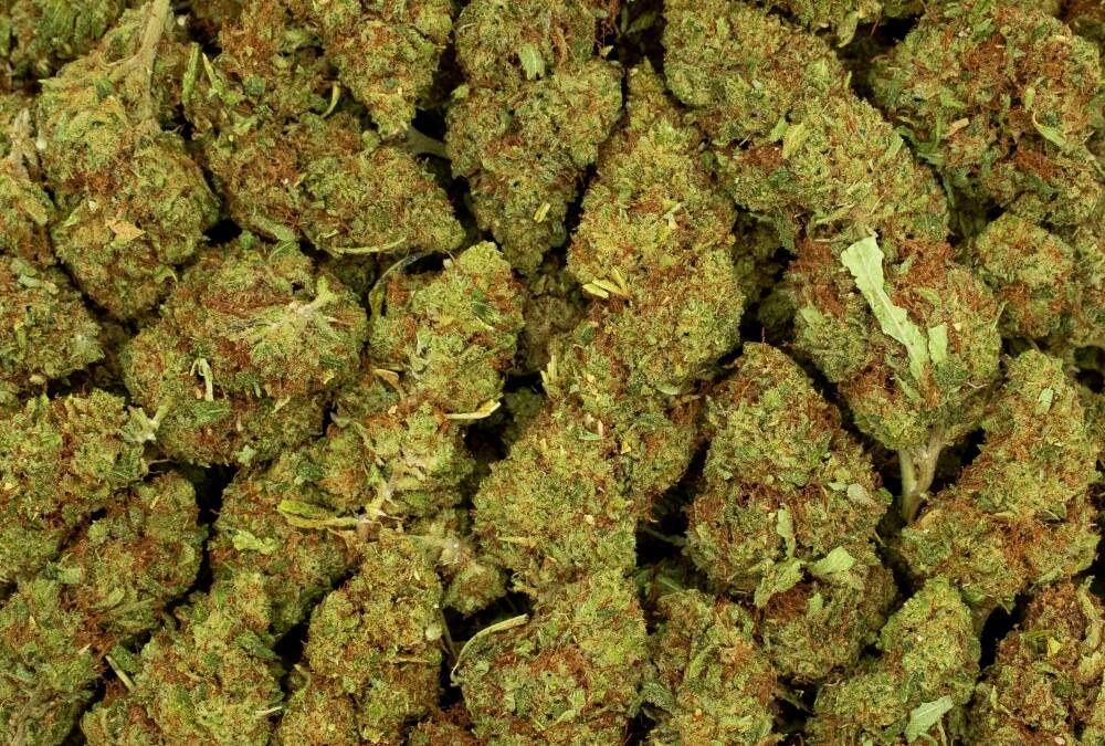 Lemon Haze