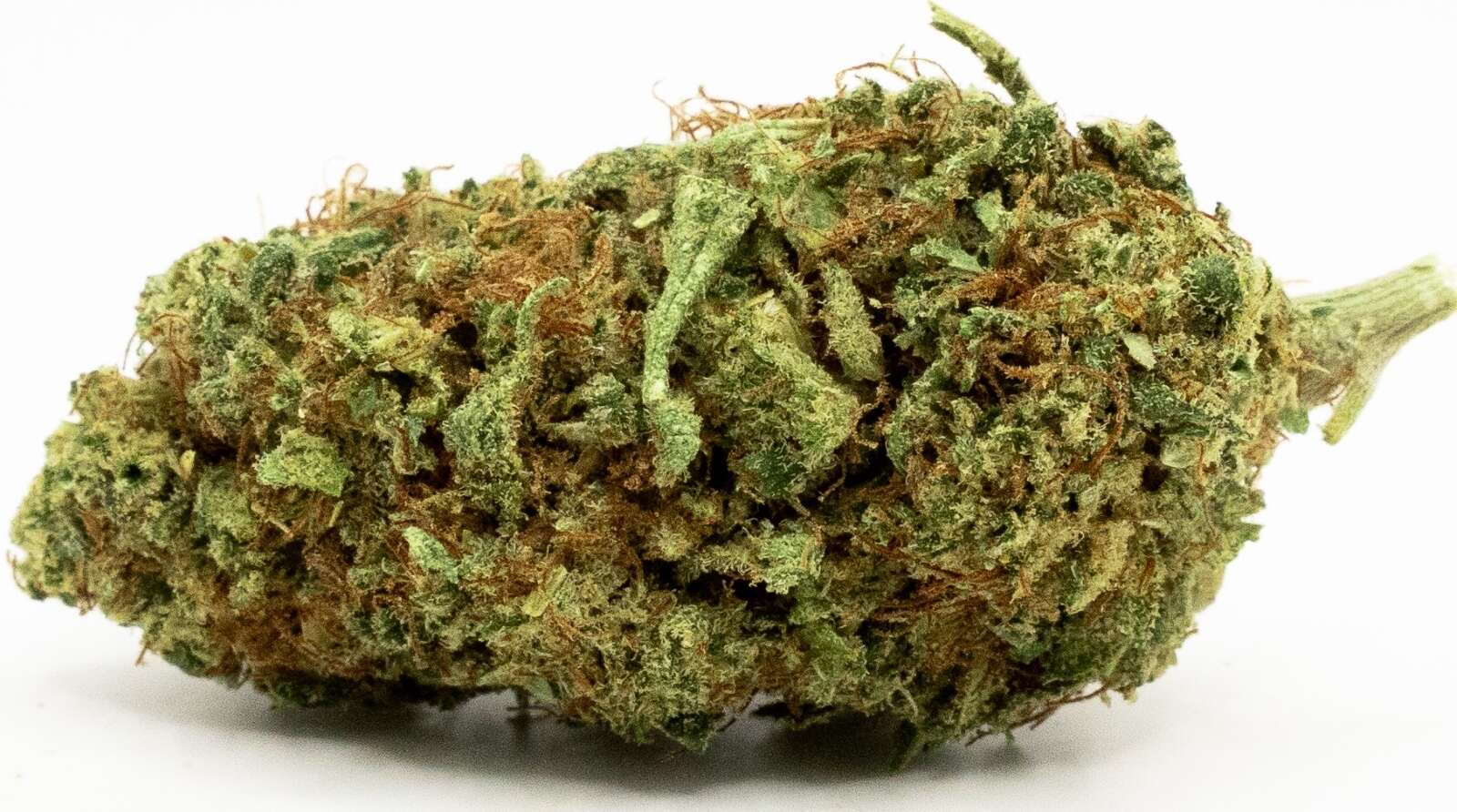 Lemon Haze
