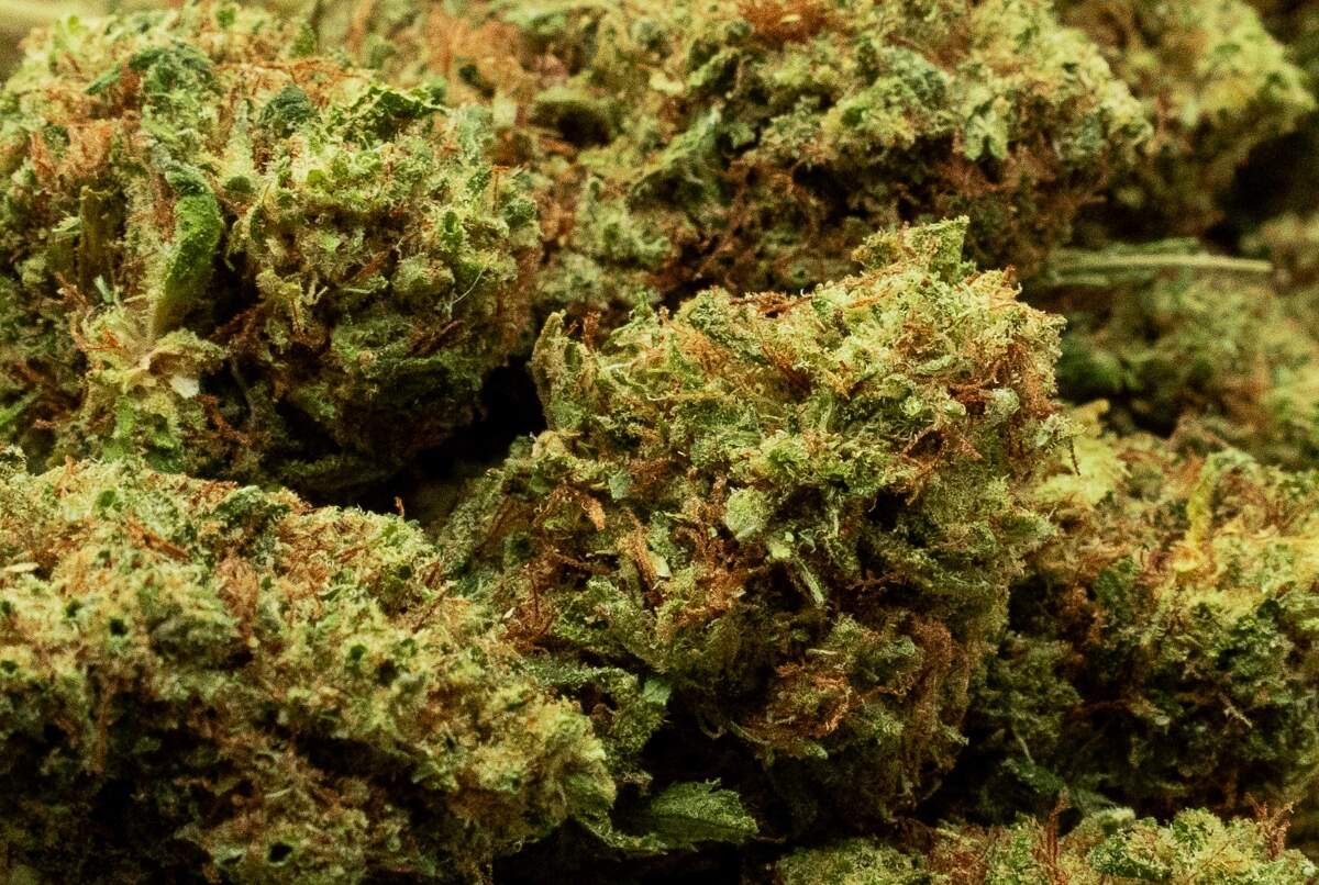 Lemon Haze de CBD Lemon Haze