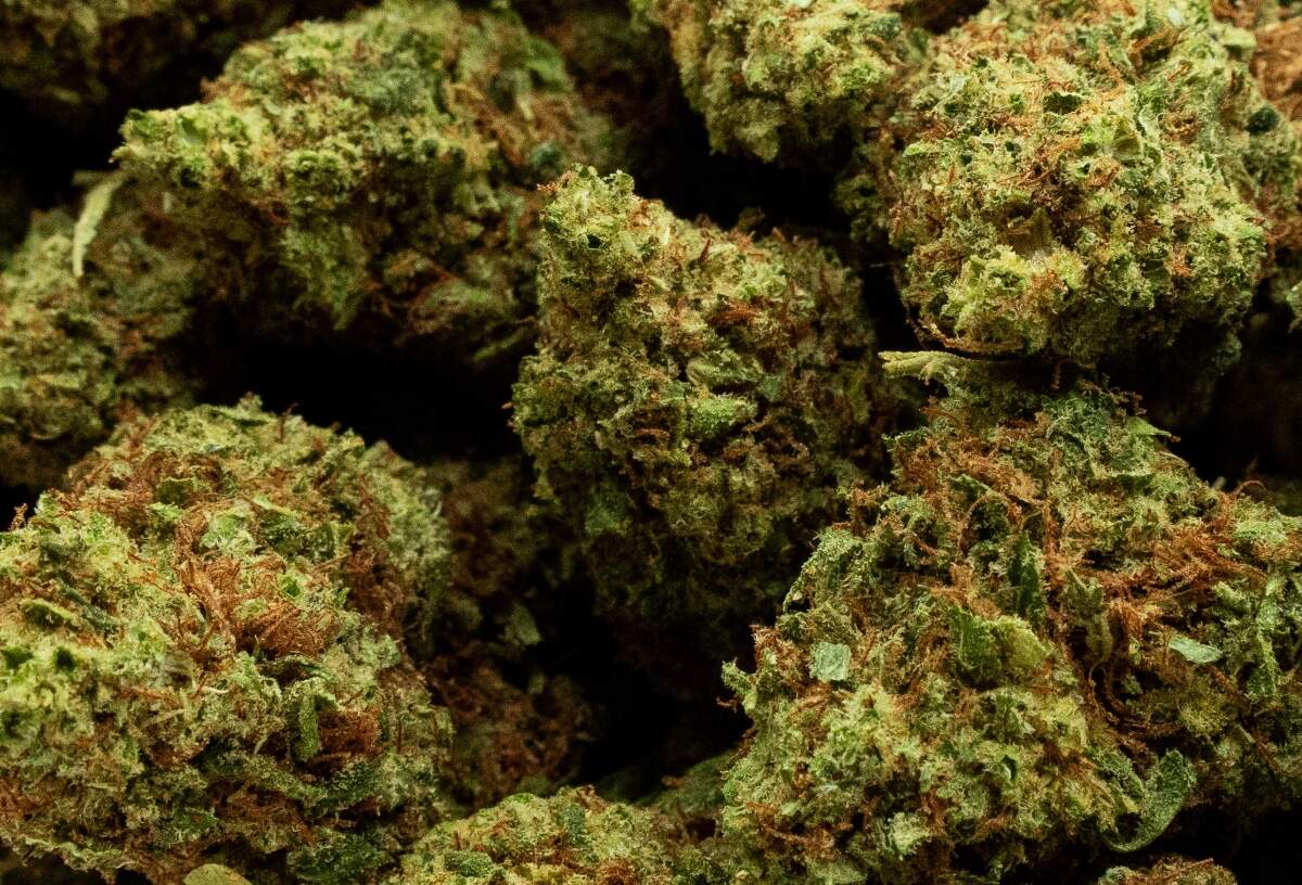 Lemon Haze