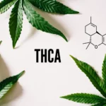 image de présentation du thca