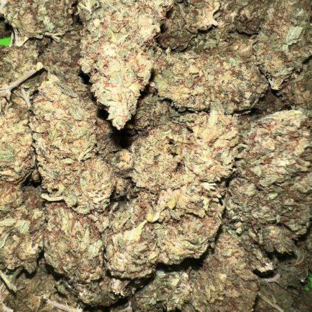 flores de cbd lemon haze