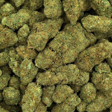 BUBBLEGUM GELATO FLEUR DE CBD HYDROPONIQUE