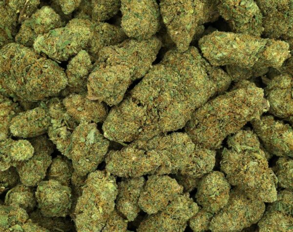 BUBBLEGUM GELATO