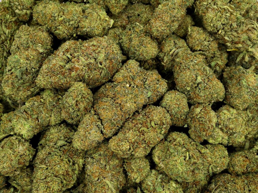 FRUITY JACK FLEUR DE CBD HYDROPONIQUE