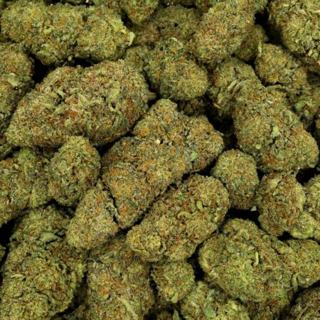 FRUITY JACK FLEUR DE CBD HYDROPONIQUE