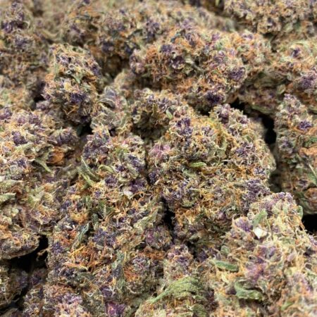 KUSH PURPURA